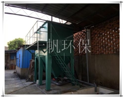 王中特王49