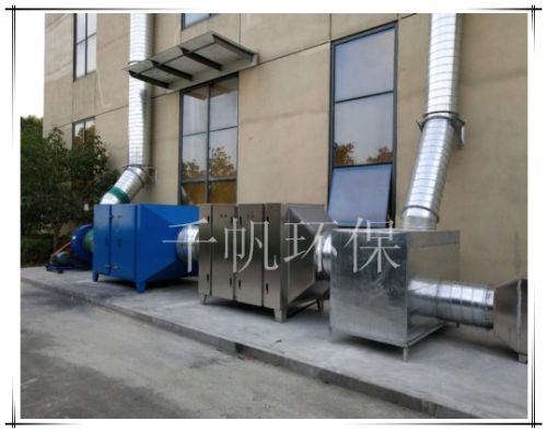 王中特王49