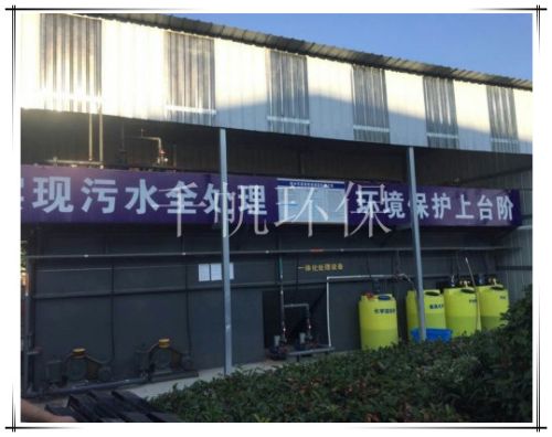 王中特王49