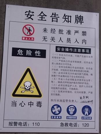 王中特王49