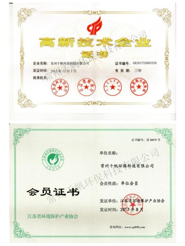 王中特王49