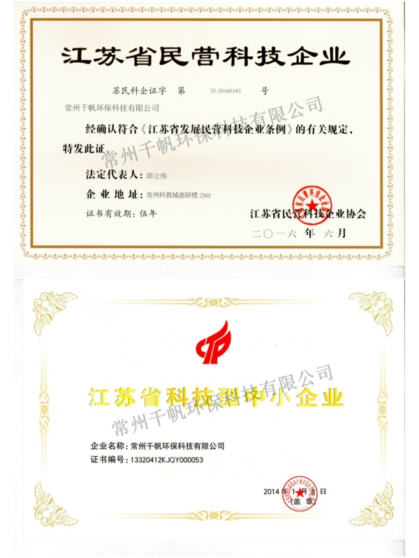 王中特王49
