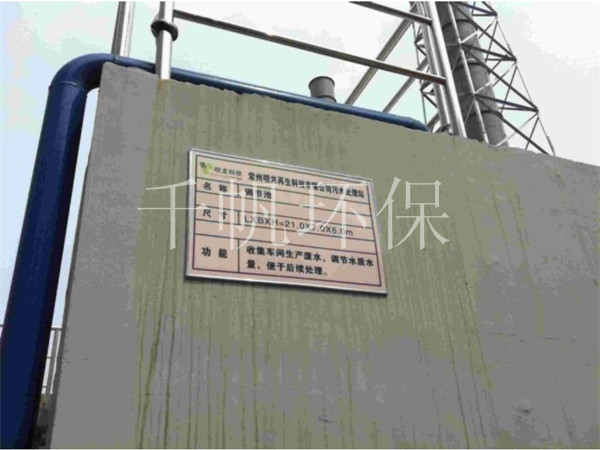 王中特王49