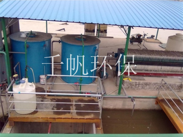 王中特王49