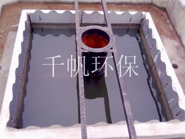 王中特王49