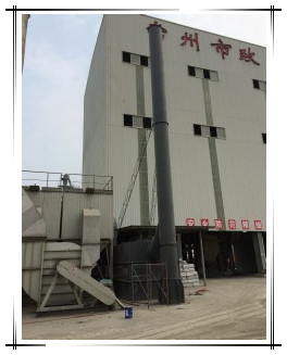 王中特王49