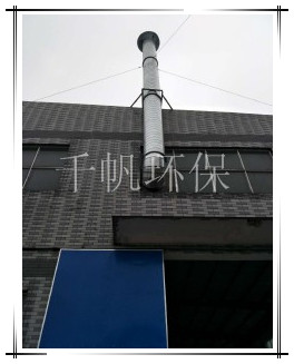 王中特王49