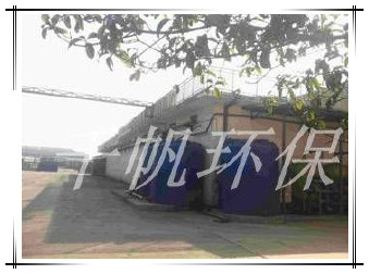 王中特王49