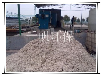 王中特王49