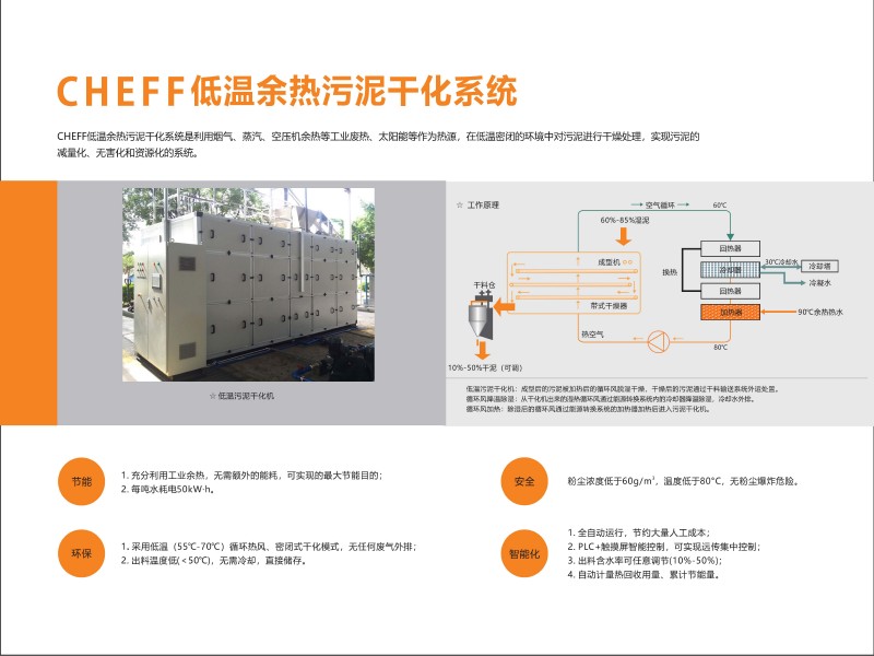 王中特王49
