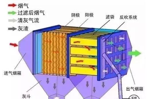 王中特王49