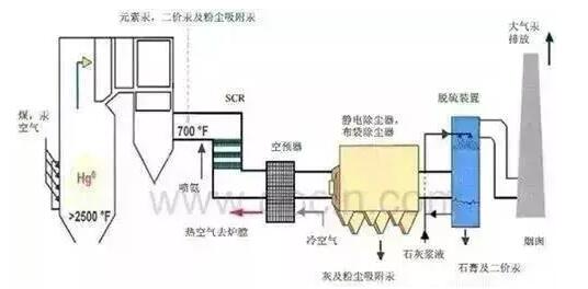 王中特王49