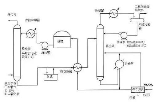 王中特王49