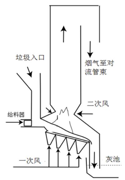 王中特王49