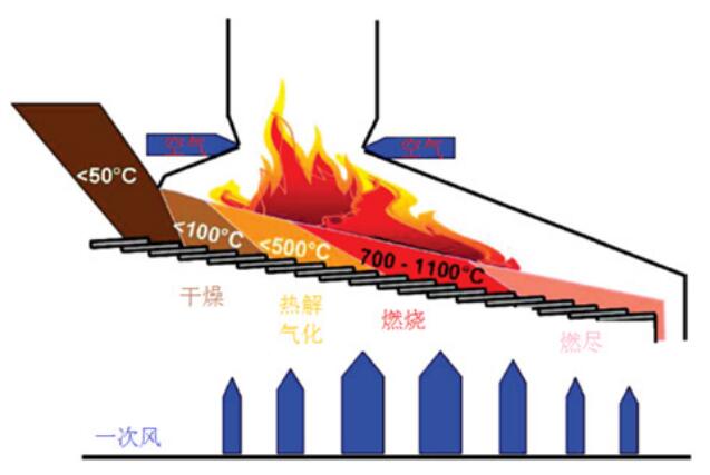 王中特王49