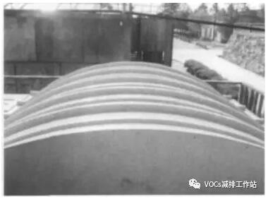 王中特王49