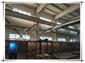 王中特王49