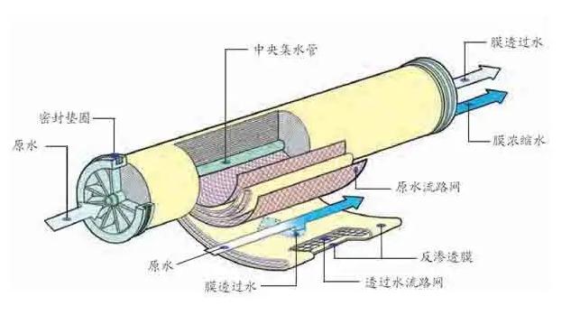 王中特王49