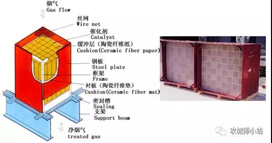 王中特王49