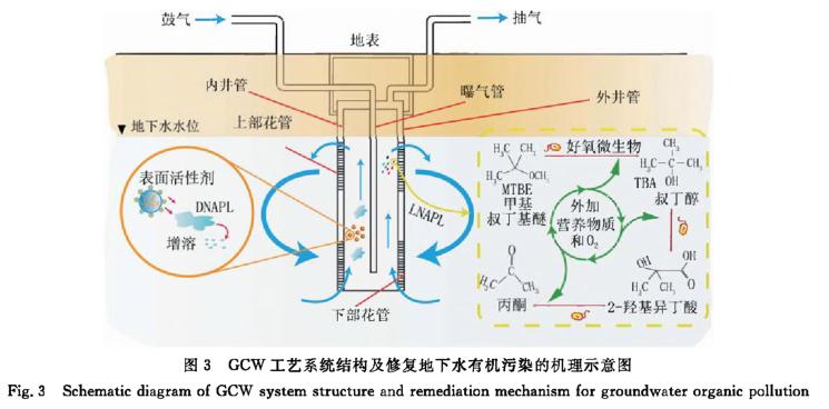 王中特王49