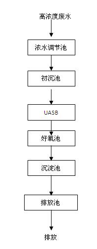 王中特王49