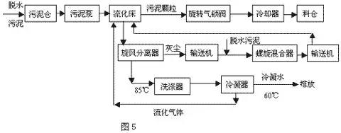 王中特王49